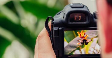 black digital camera capturing yellow flower